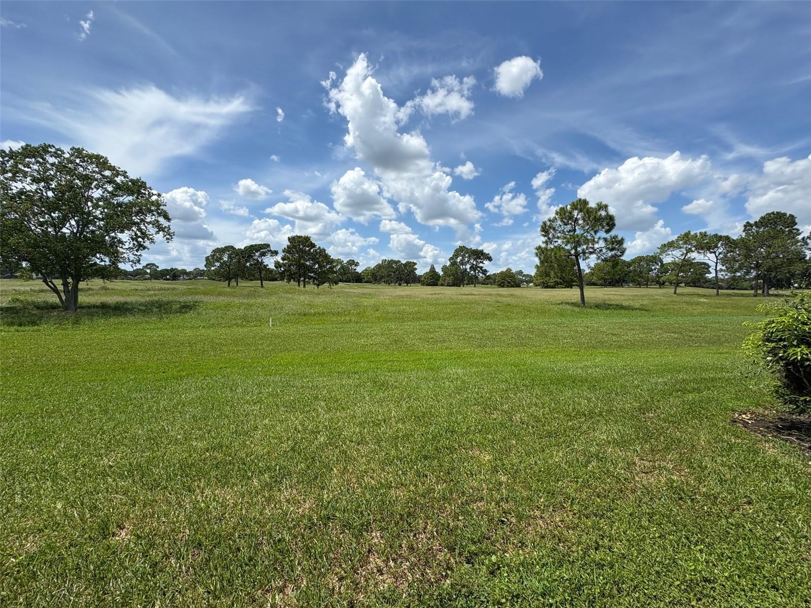 Image 14 of 16 For 13827 Fairway Island Drive S