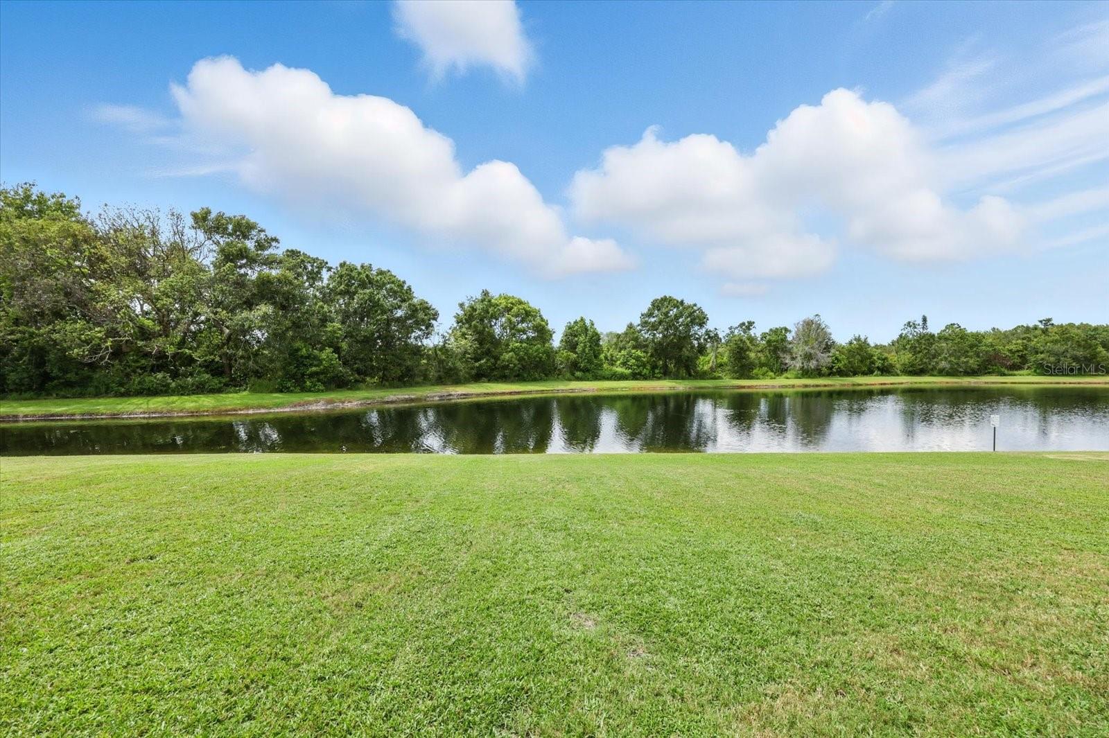 Image 40 of 50 For 15130 Arbor Hollow Dr
