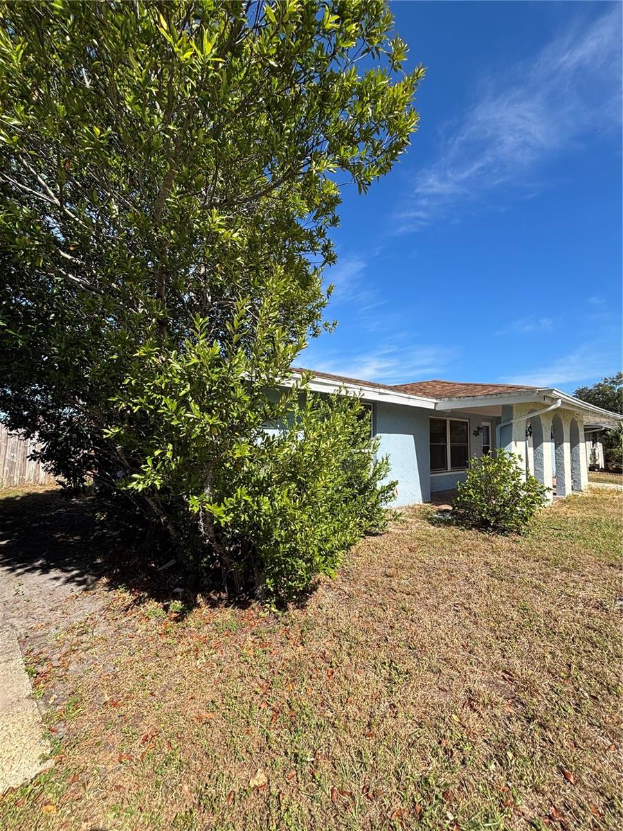 Image 19 of 20 For 7449 Live Oak Lane