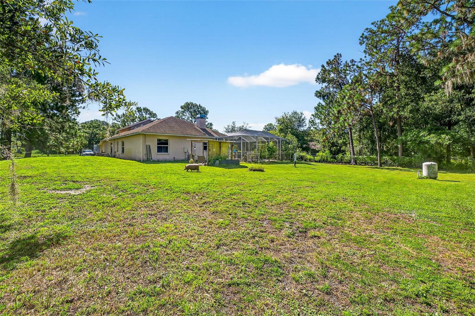 Image 44 of 48 For 7911 Pine Lands Drive