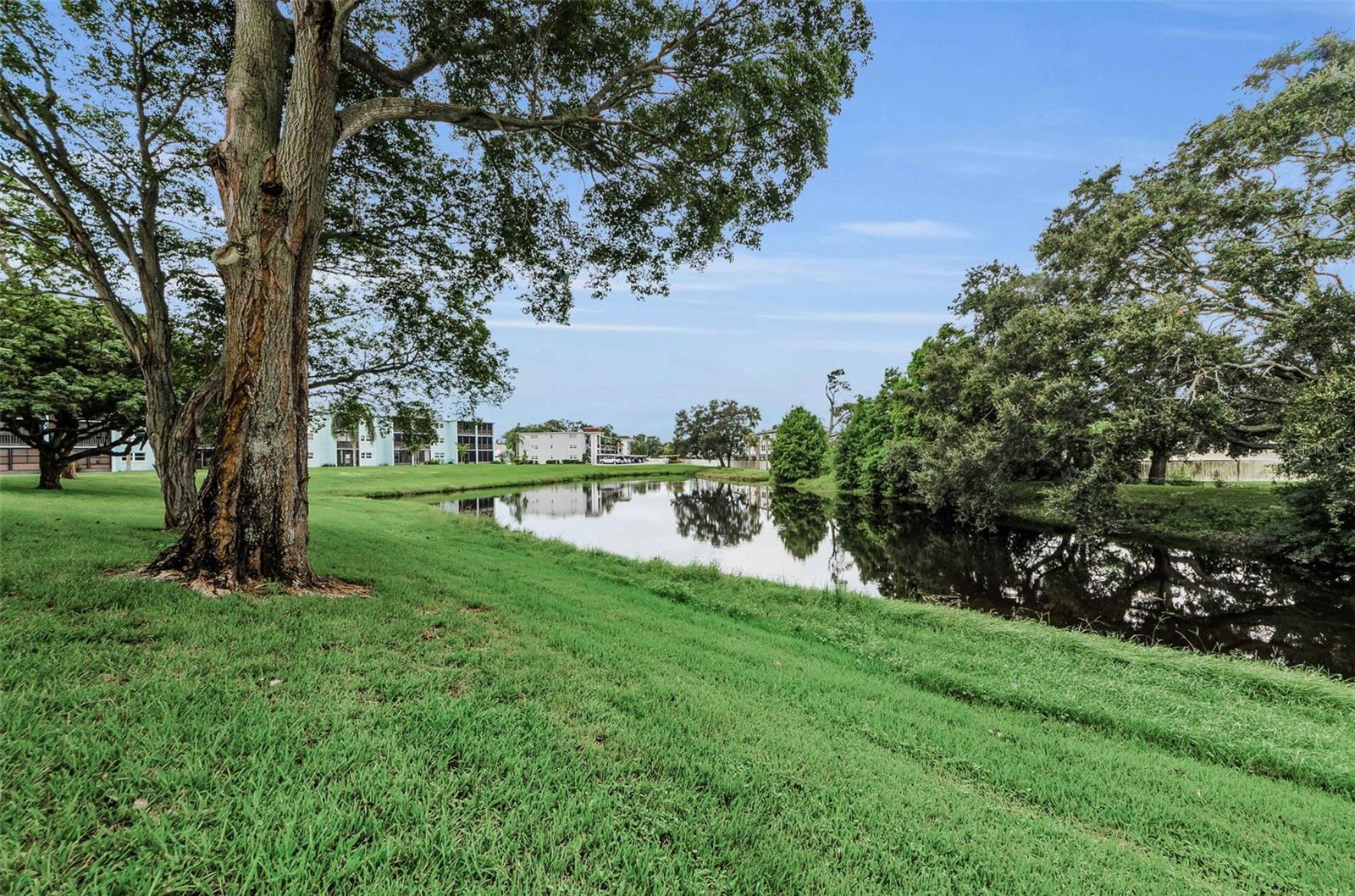 Image 25 of 53 For 1450 Heather Ridge Boulevard 307