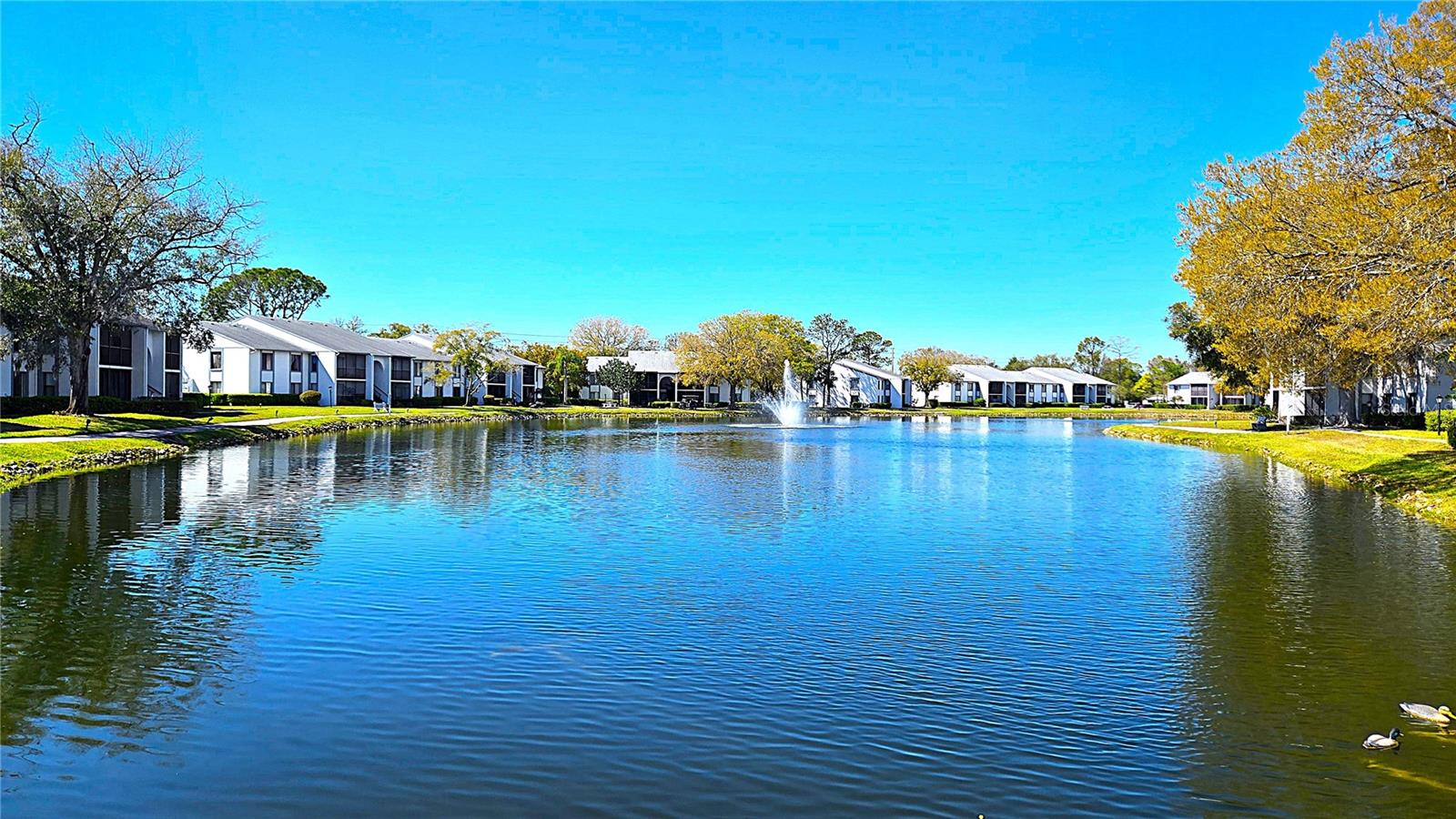 Image 37 of 50 For 1109 Pine Ridge Circle W C1