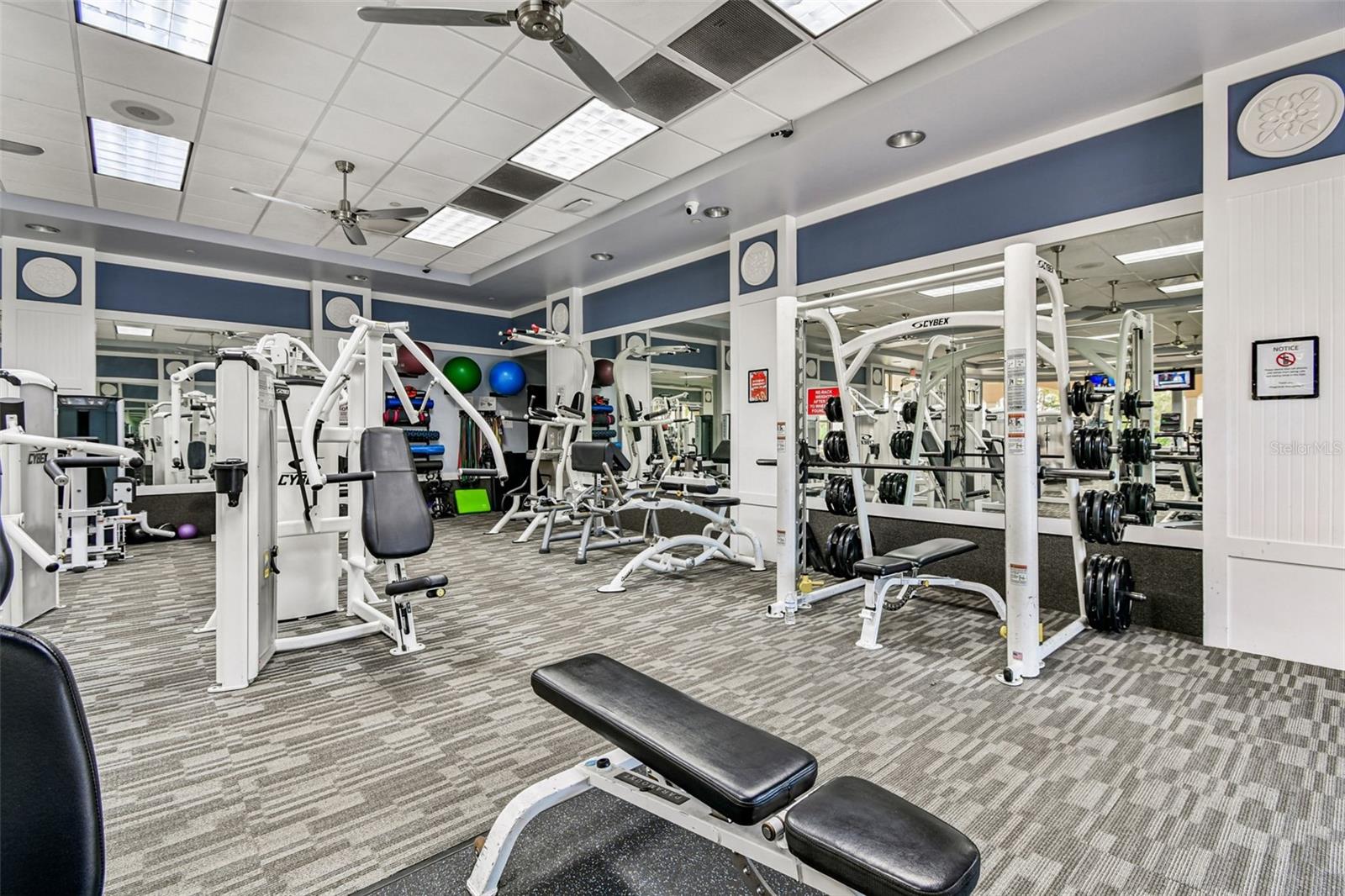 Image 58 of 82 For 5373 Eliseo Street