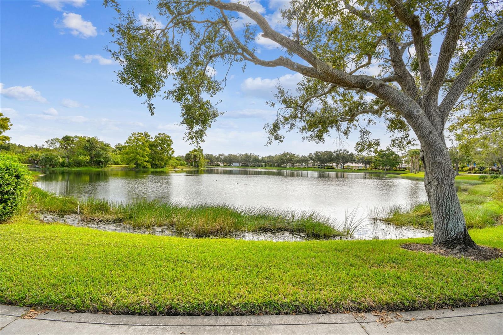 Image 61 of 82 For 5373 Eliseo Street