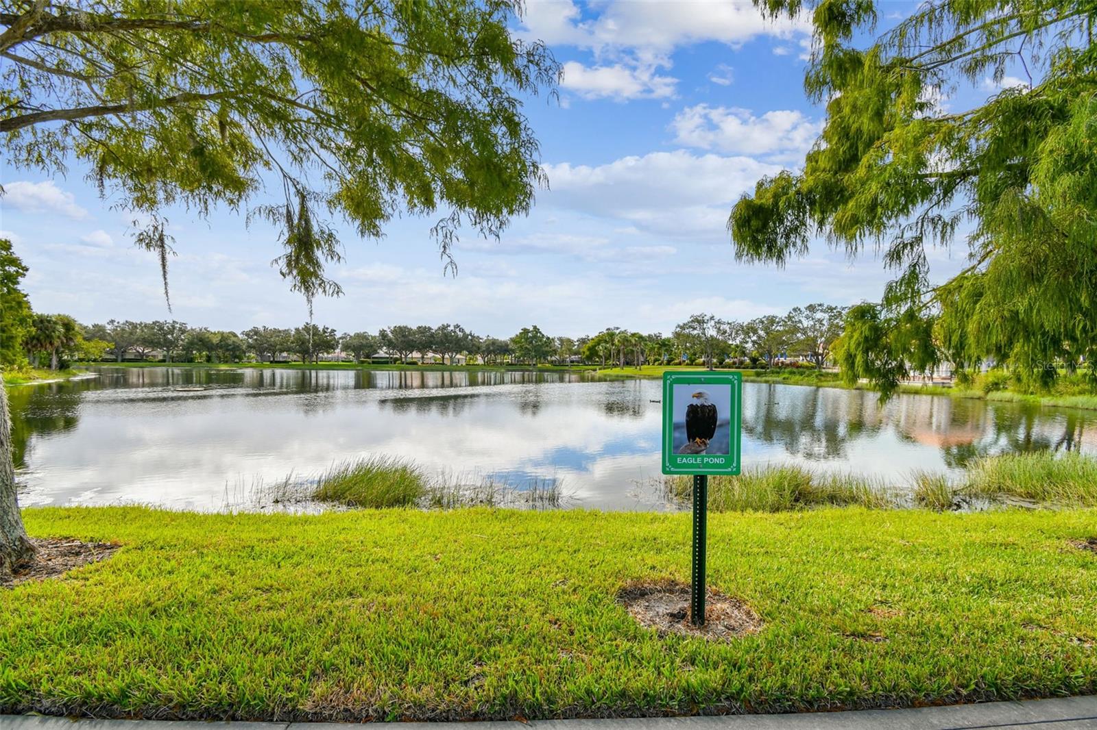 Image 63 of 82 For 5373 Eliseo Street