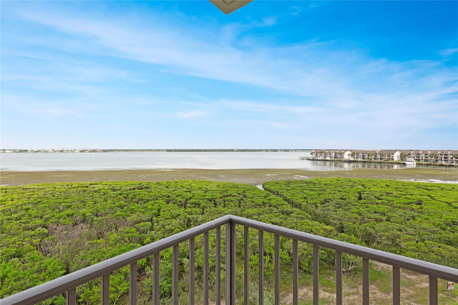 Image 8 of 37 For 1501 Gulf Boulevard 305