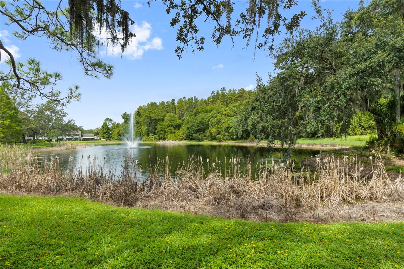 Image 37 of 39 For 5100 Burchette Road 2701