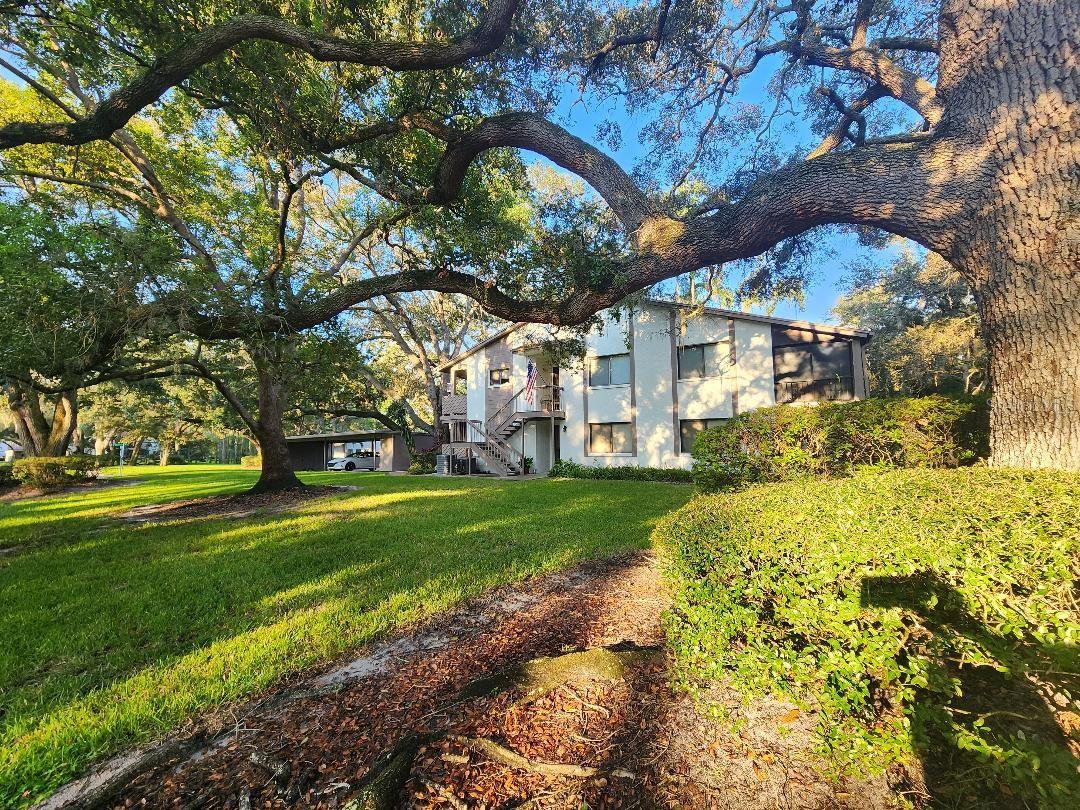 Details for 603 Baldwin Avenue B, SAFETY HARBOR, FL 34695