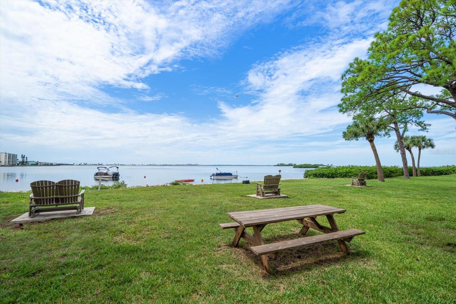 Image 2 of 48 For 2700 Bayshore Boulevard 4310