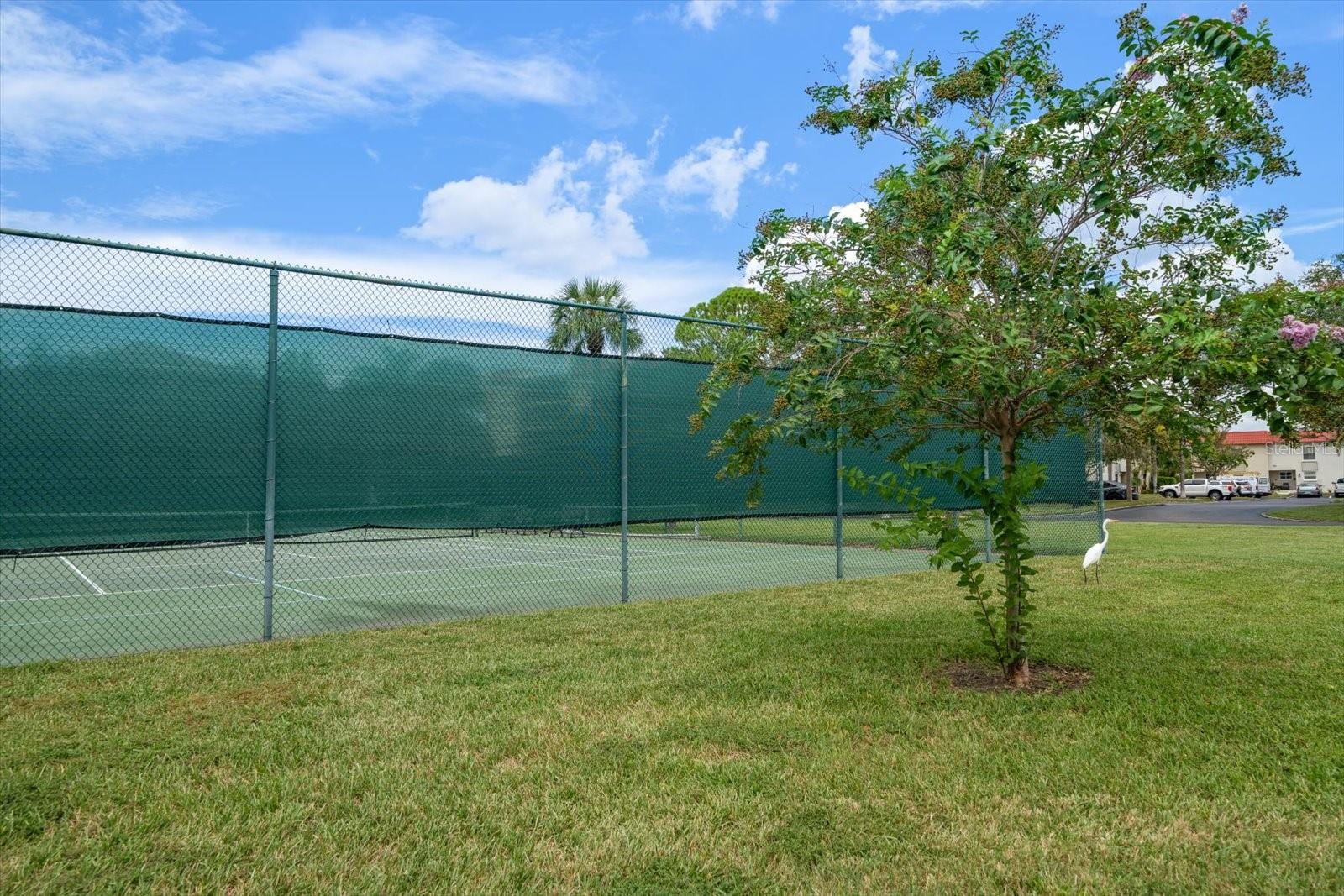 Image 24 of 48 For 2700 Bayshore Boulevard 4310