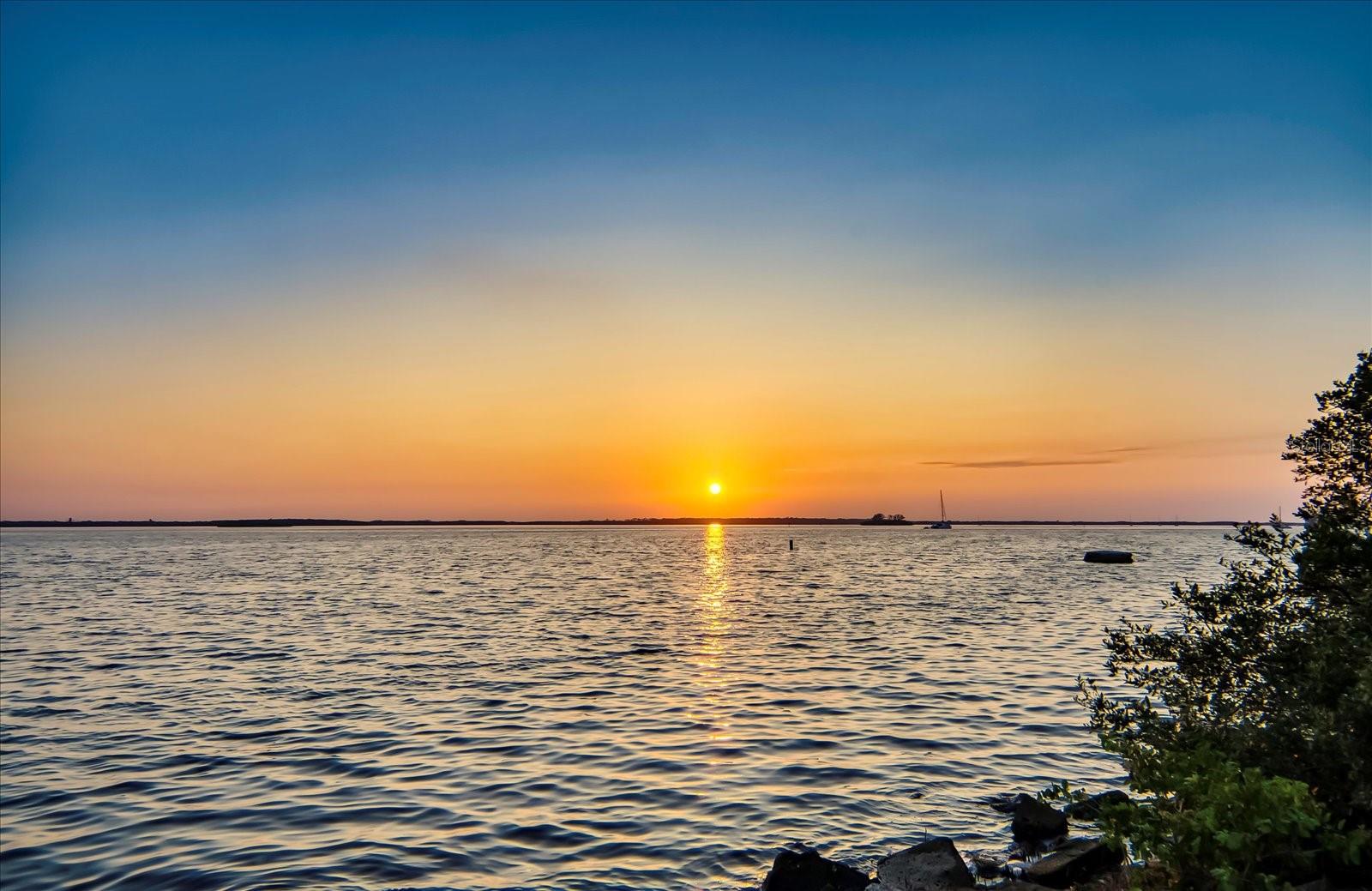 Image 40 of 48 For 2700 Bayshore Boulevard 4310