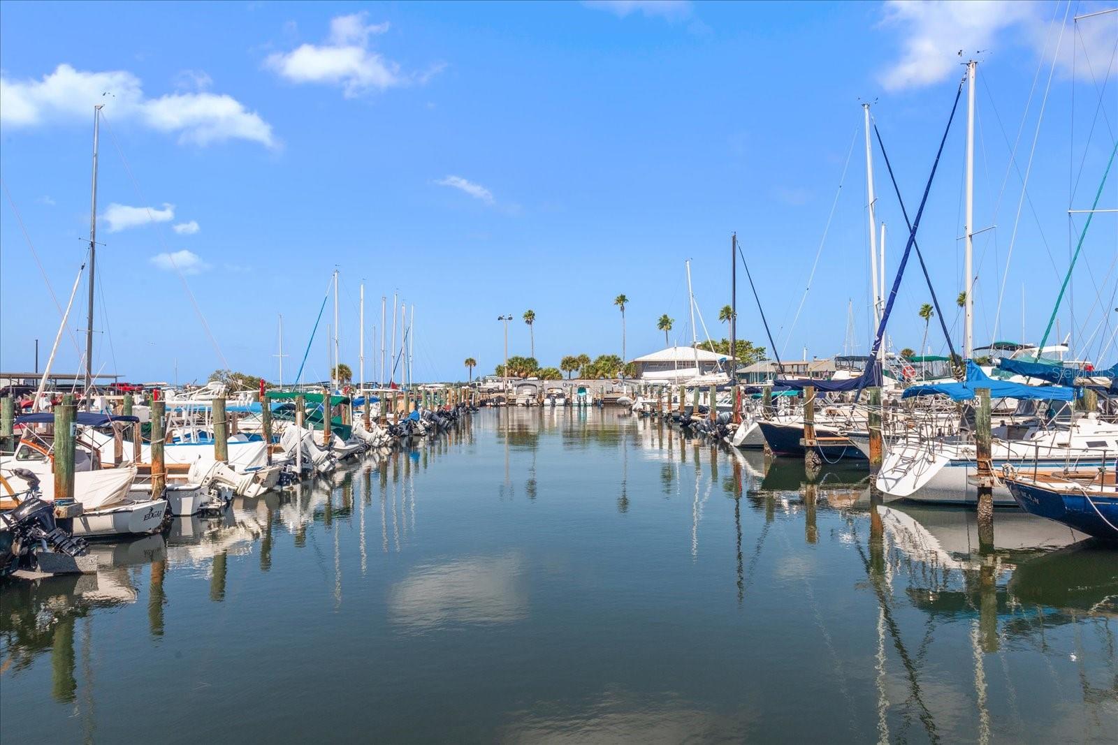 Image 44 of 48 For 2700 Bayshore Boulevard 4310