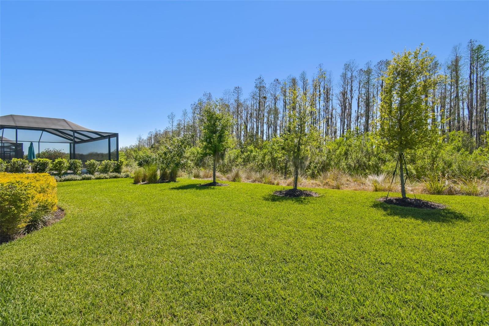 Image 27 of 64 For 29488 Ginnetto Drive