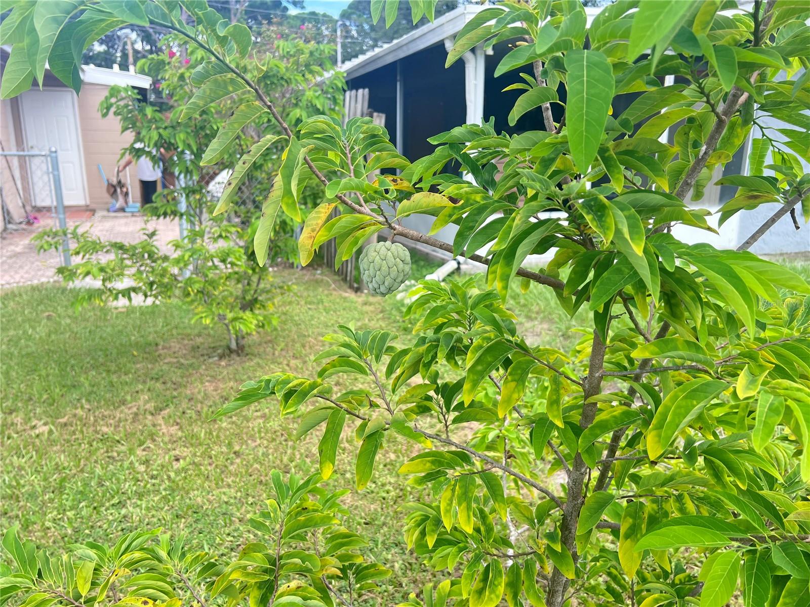 Image 3 of 15 For 3612 71st Street N