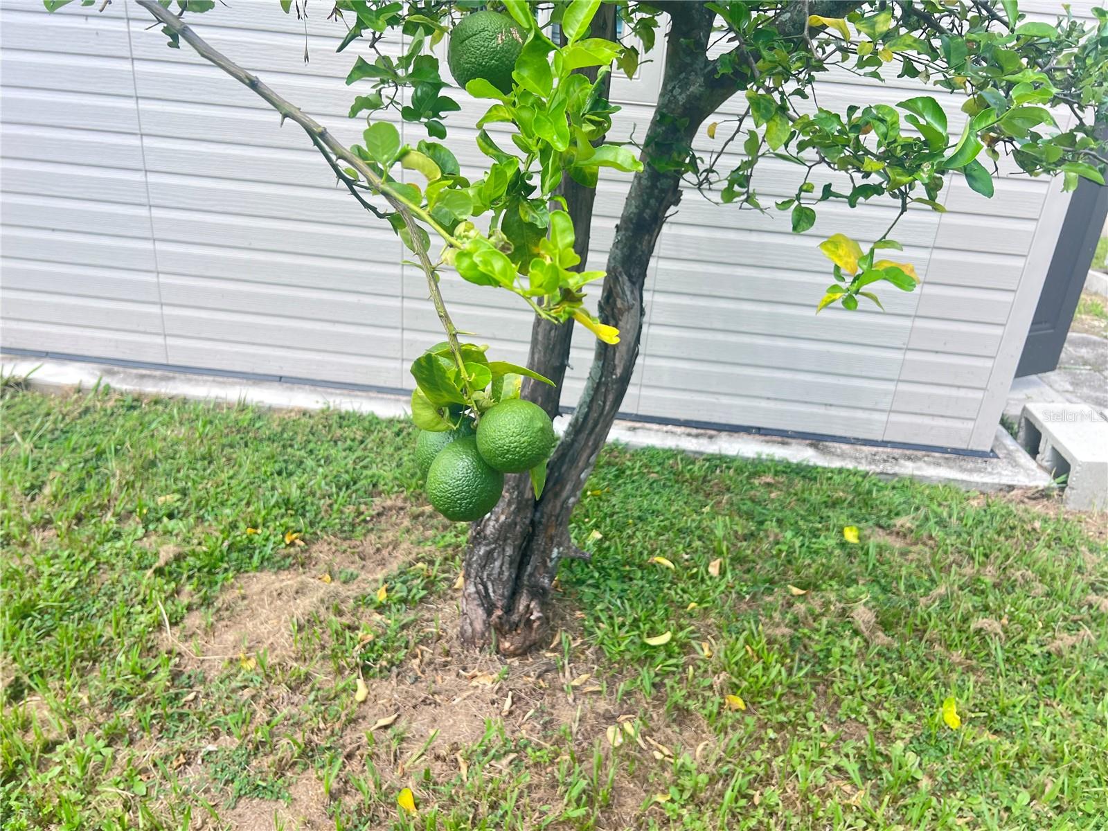 Image 5 of 15 For 3612 71st Street N