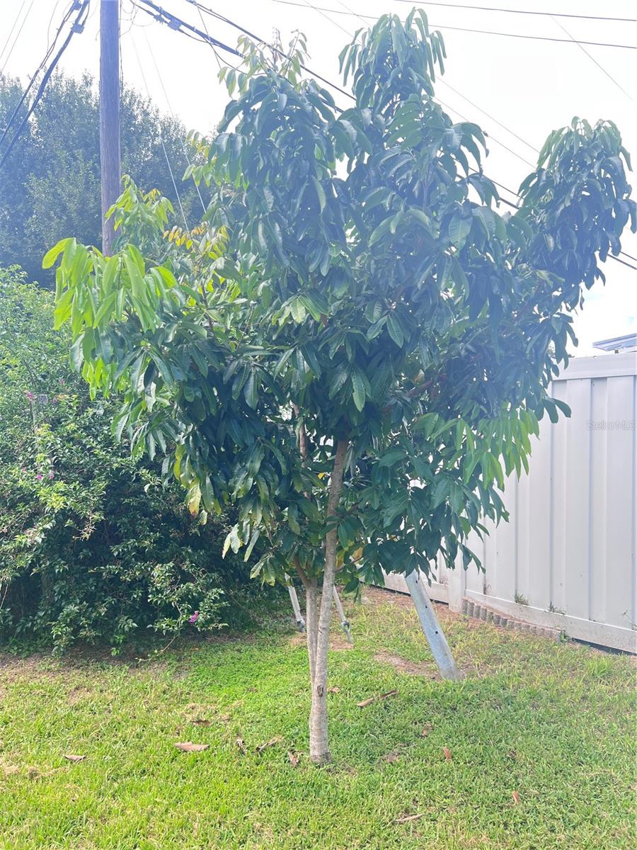 Image 6 of 15 For 3612 71st Street N