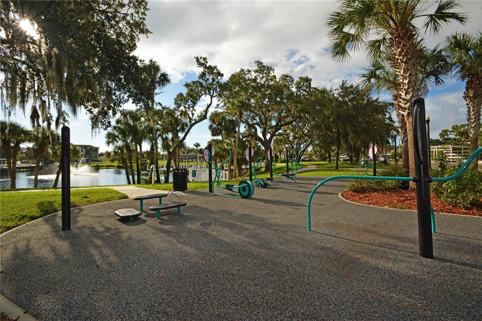 Image 47 of 56 For 7369 Royal Palm Drive