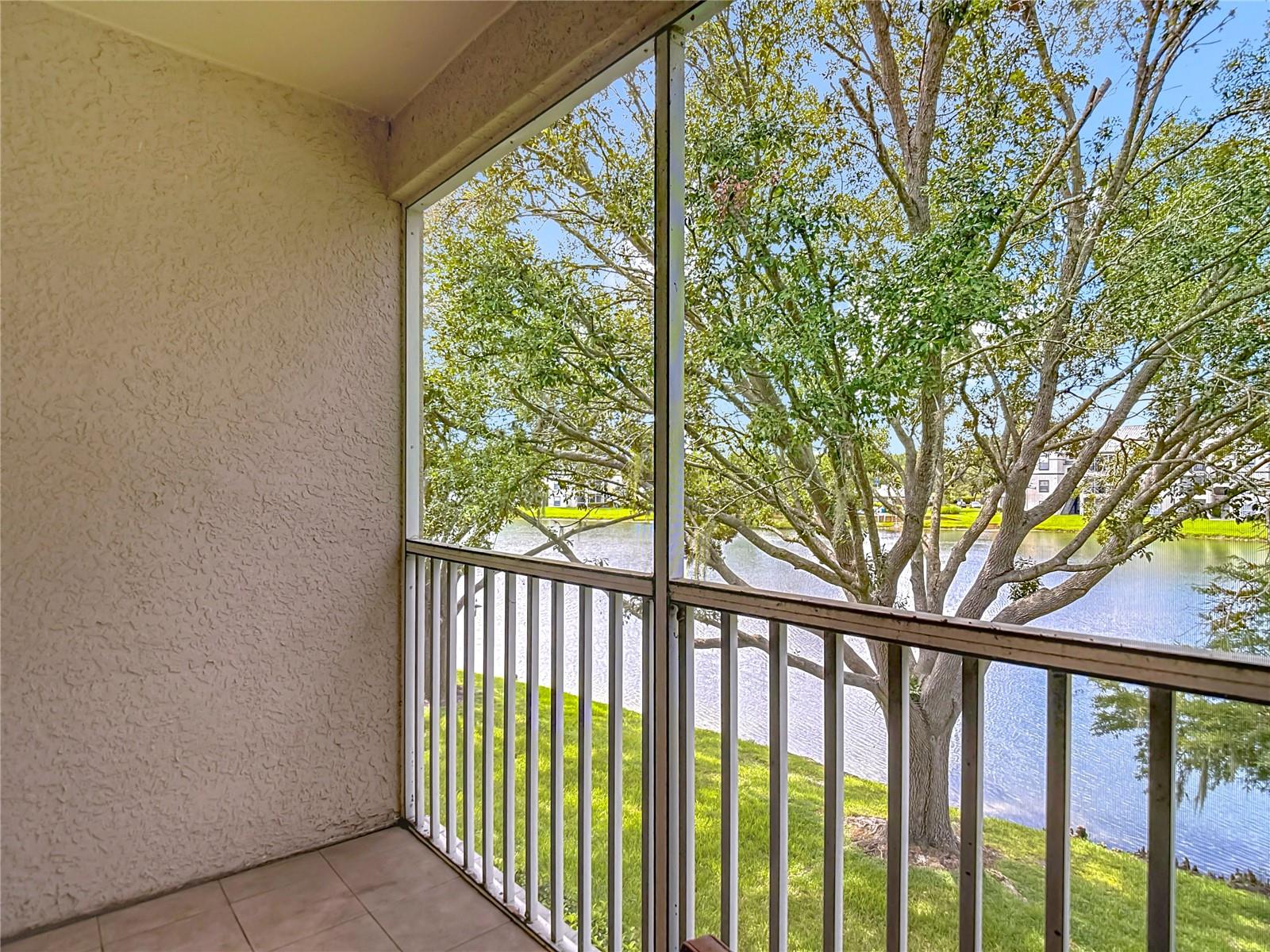 Image 43 of 62 For 18510 Pebble Lake Court