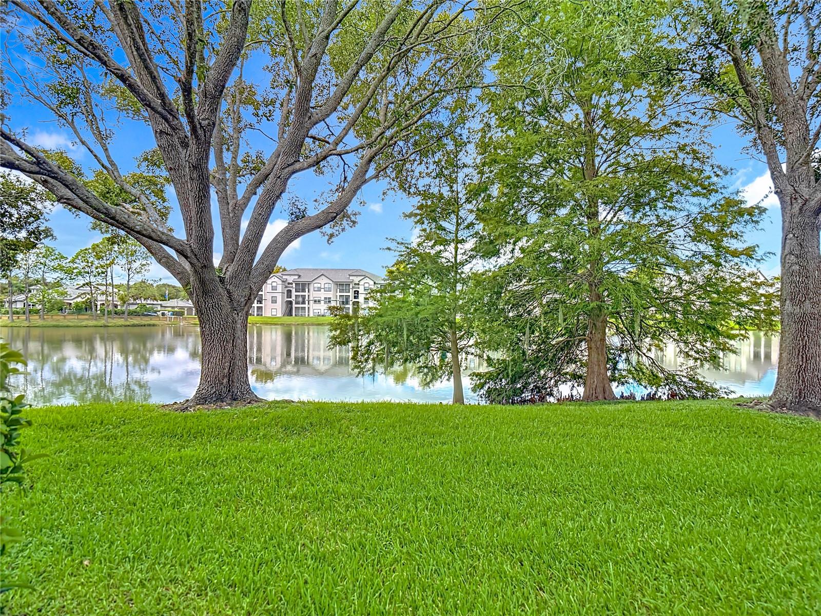 Image 61 of 62 For 18510 Pebble Lake Court