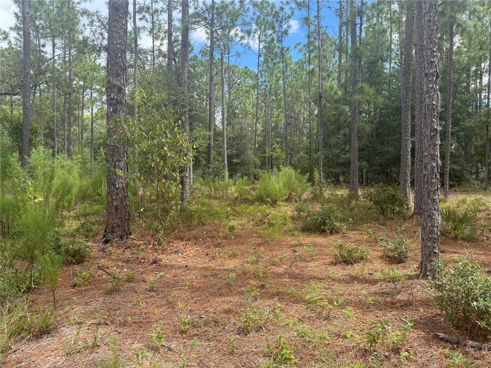 Details for 7651 111th Lane, BRONSON, FL 32621