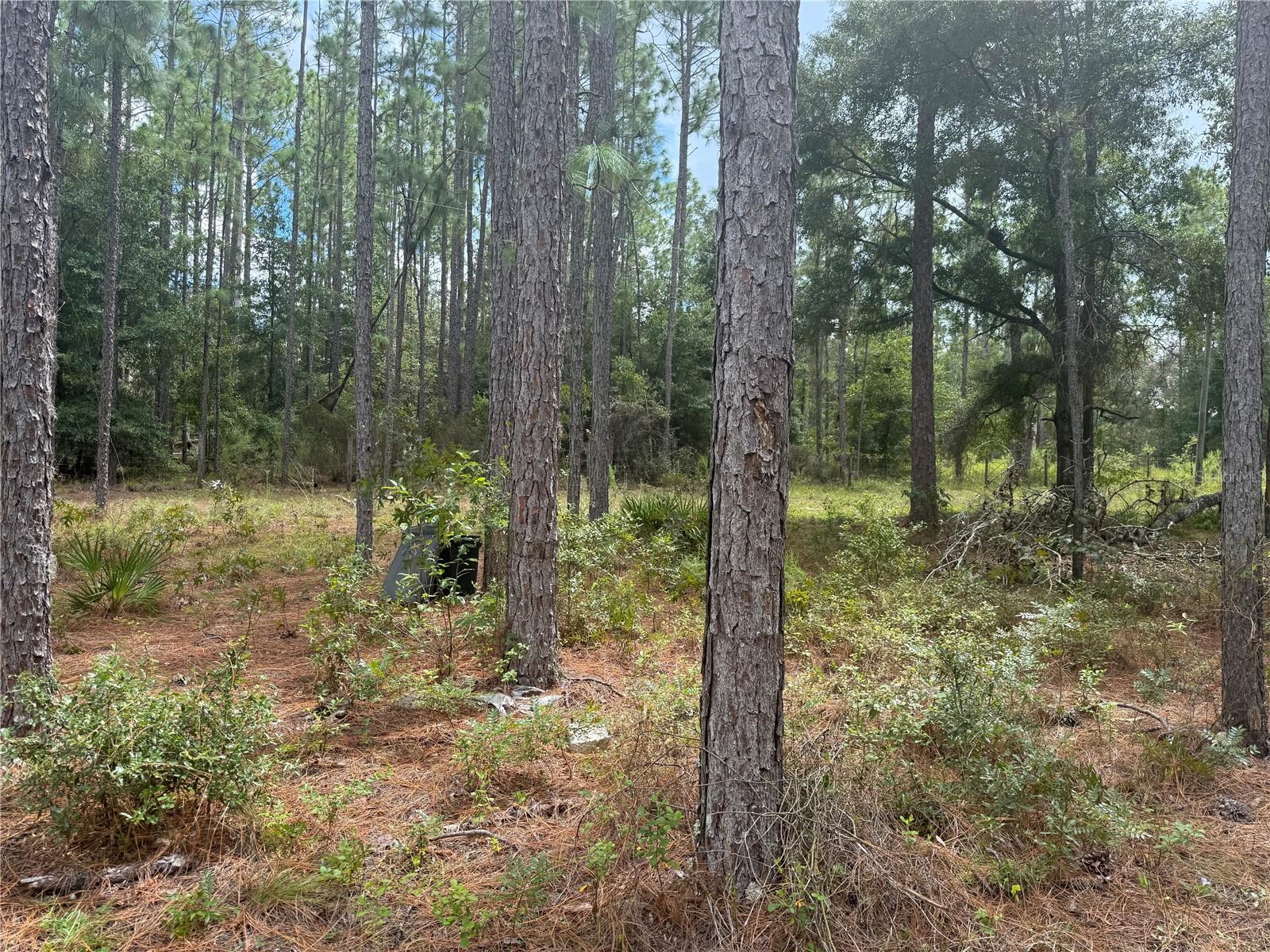 Image 3 of 10 For 7651 111th Lane