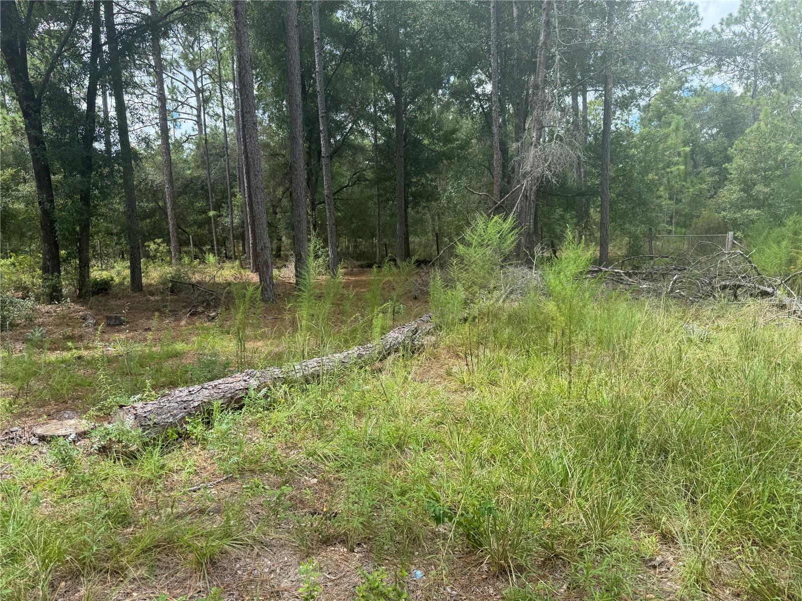 Image 4 of 10 For 7651 111th Lane