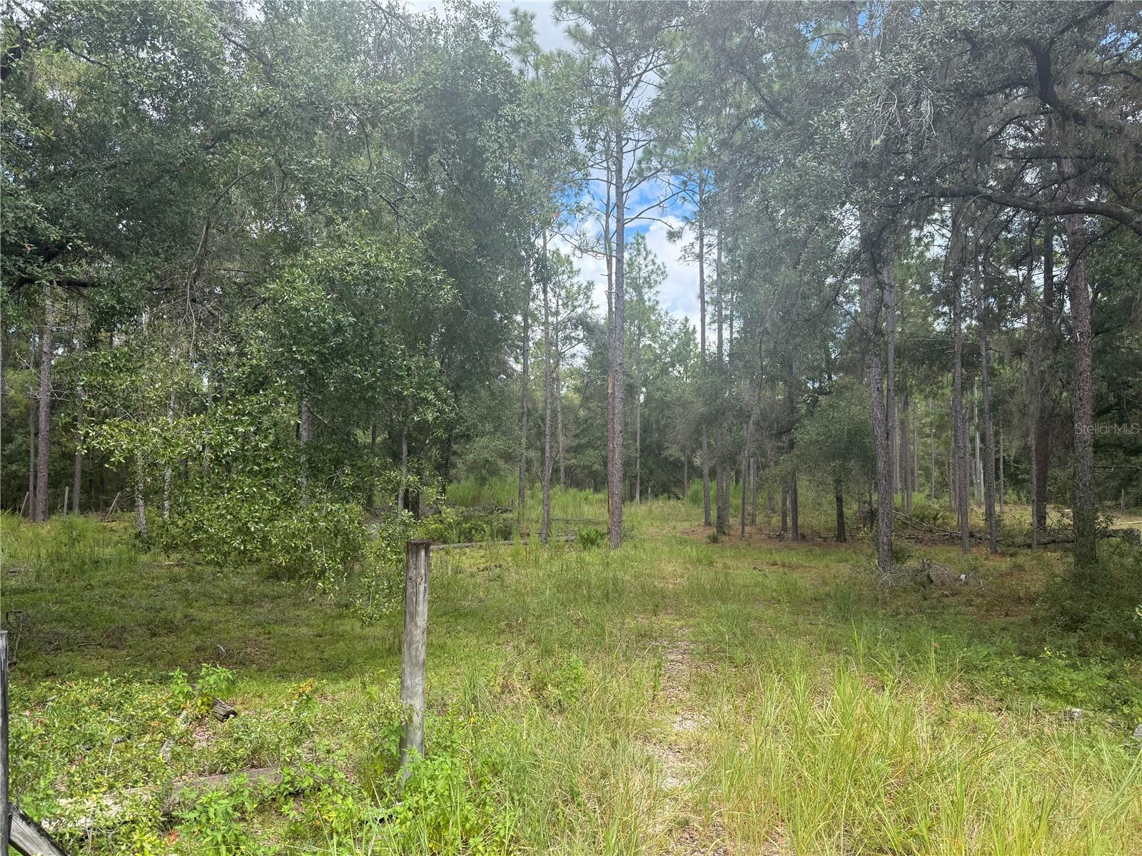 Image 5 of 10 For 7651 111th Lane