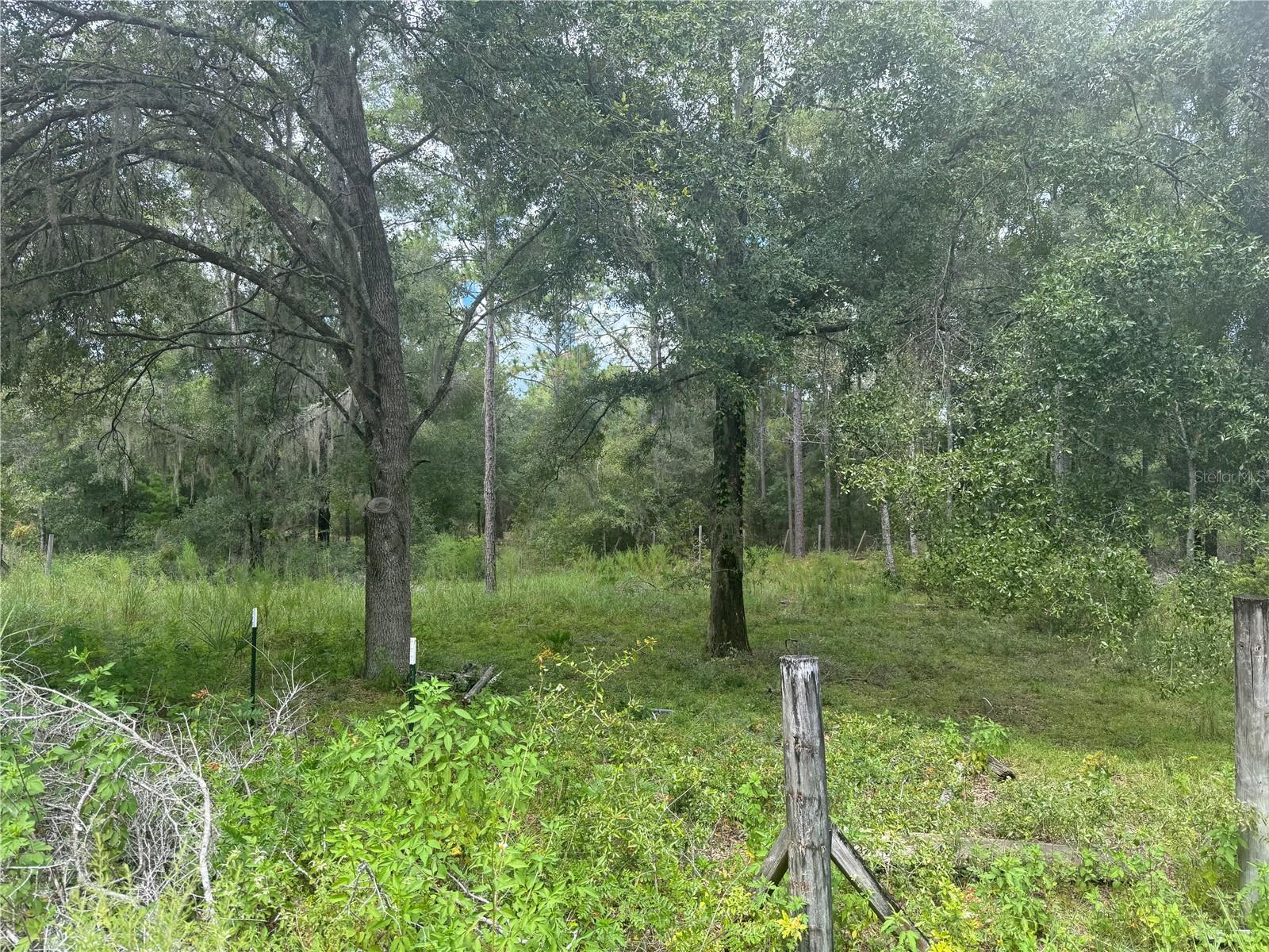 Image 6 of 10 For 7651 111th Lane