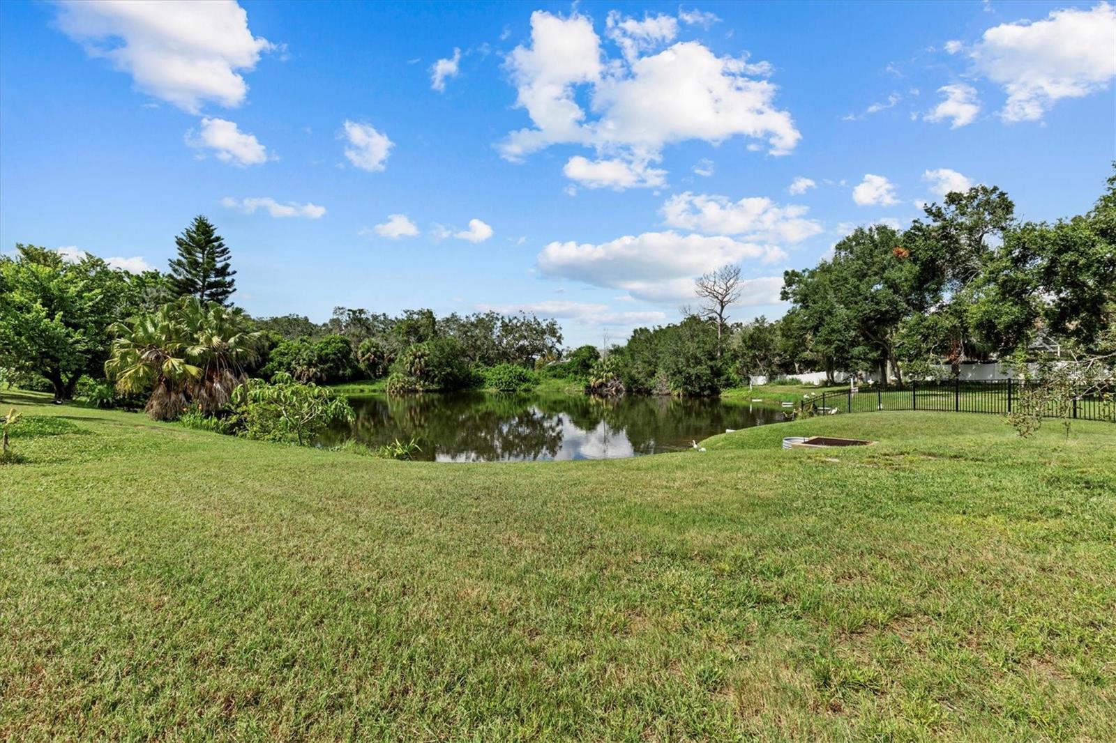 Image 41 of 49 For 913 Oakview Road