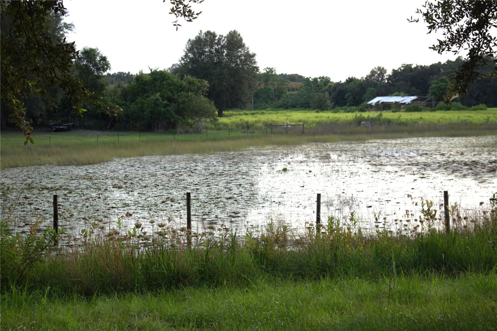 Image 34 of 35 For 18301 Obrien Road