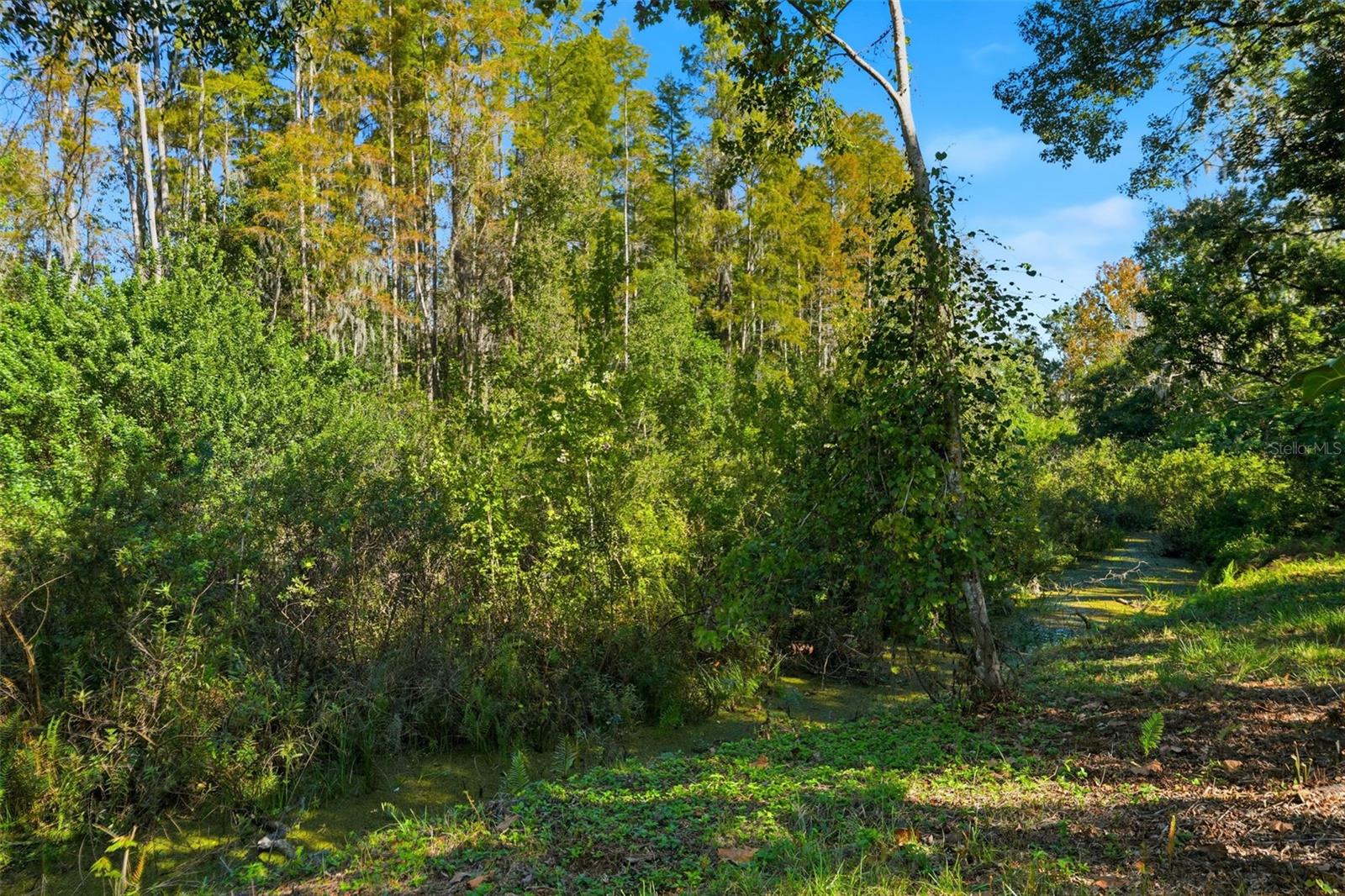 Image 28 of 29 For 7619 Del Prado Court