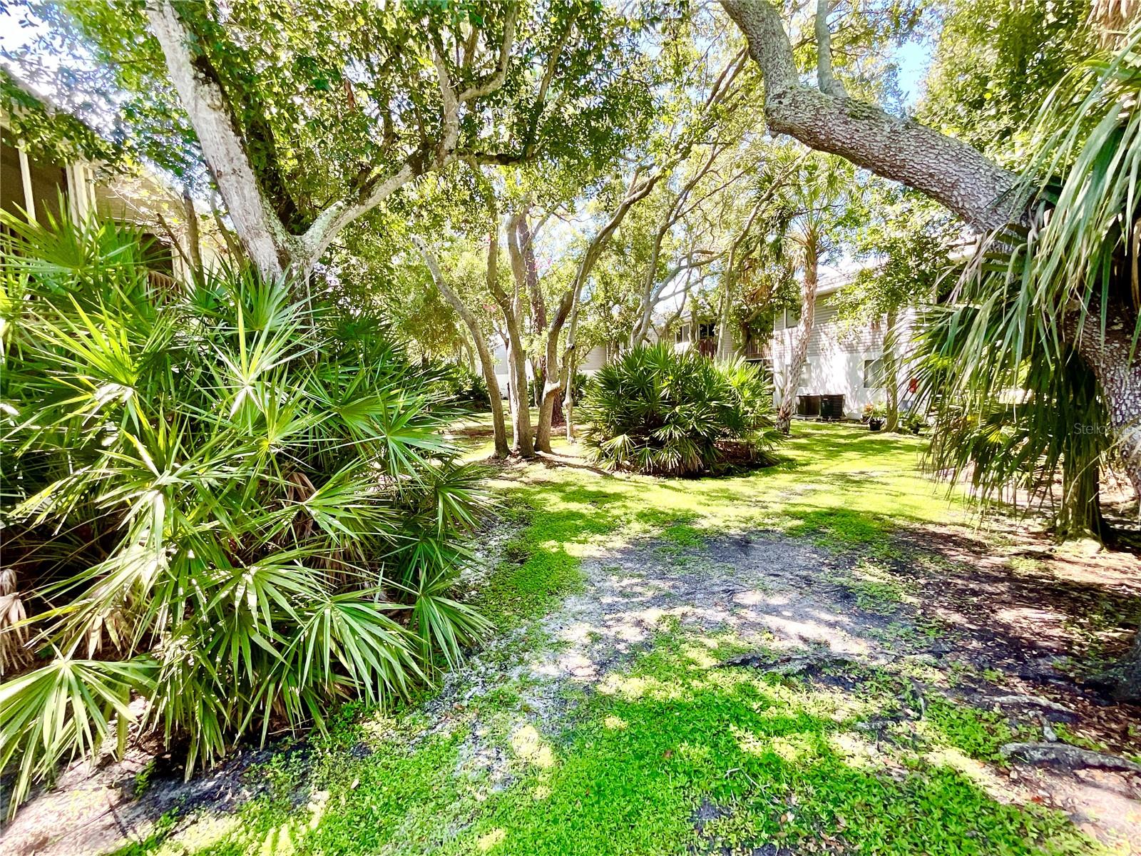 Image 15 of 40 For 9211 Jakes Path