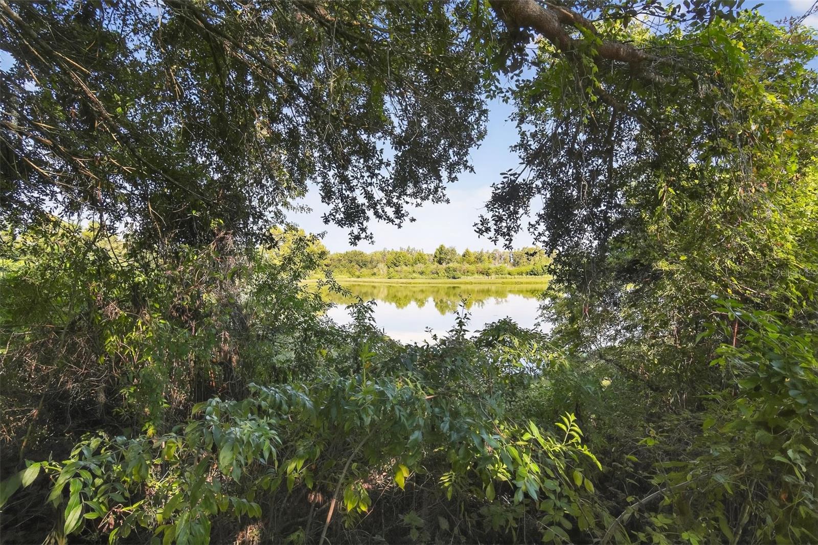 Image 34 of 38 For 10047 Landport Way