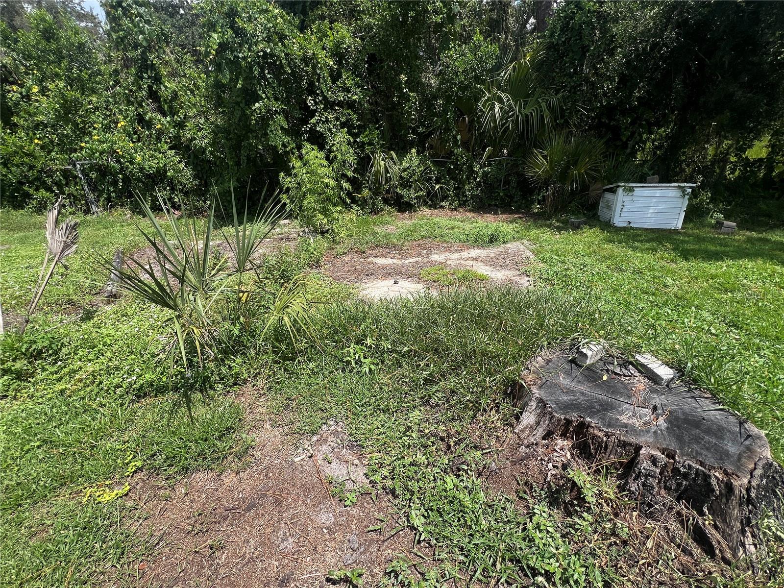 Image 11 of 49 For 2903 Williams Boulevard