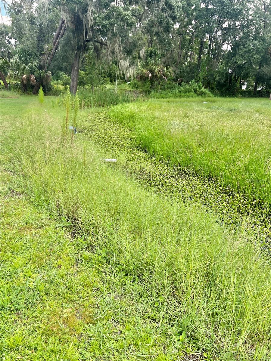 Image 22 of 49 For 2903 Williams Boulevard