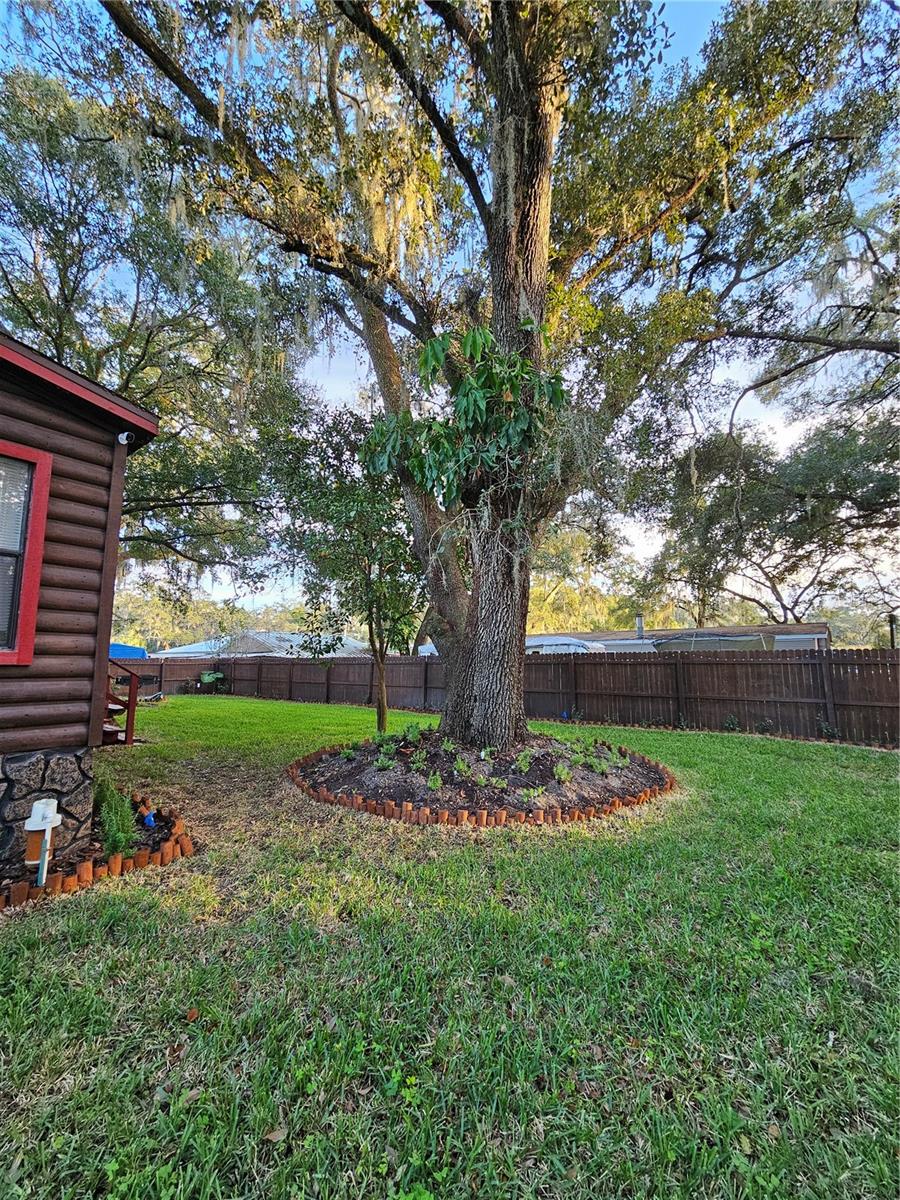 Image 4 of 23 For 10605 2nd Street