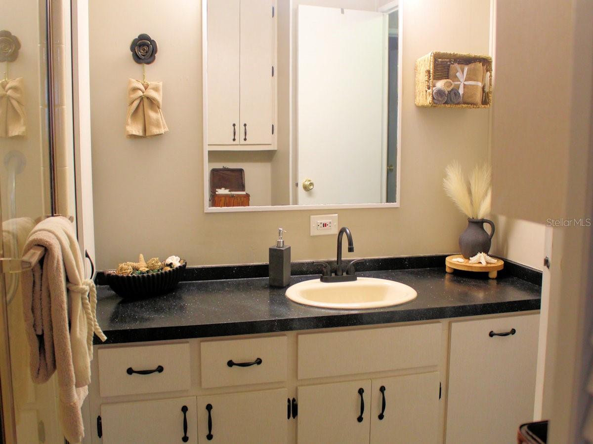 Image 16 of 18 For 140 Pindo Palm Street W