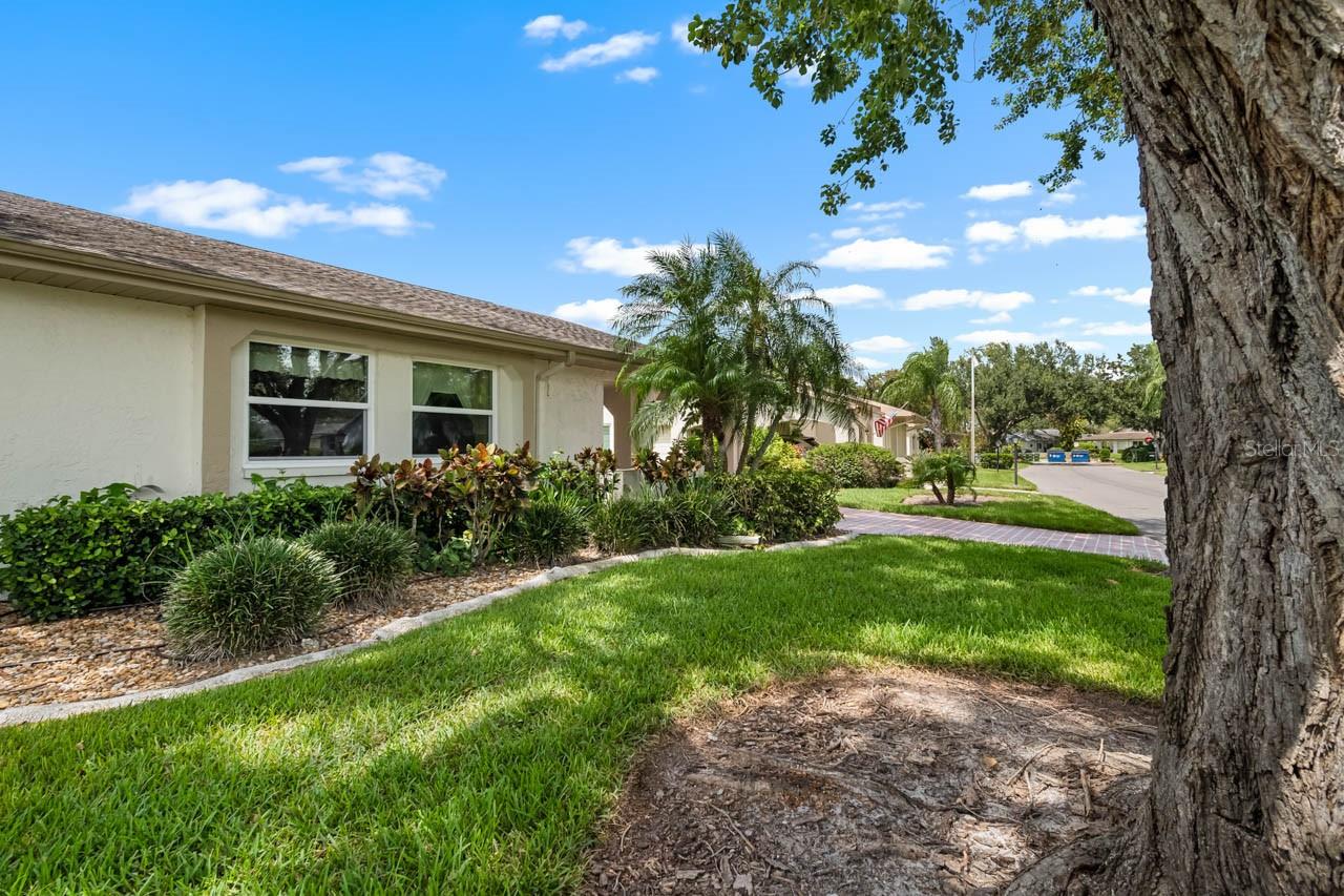 Image 4 of 50 For 2109 Harleston Place 2109