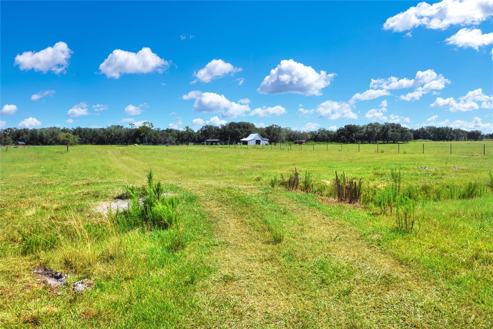 Image 8 of 62 For Limestone Heights Street