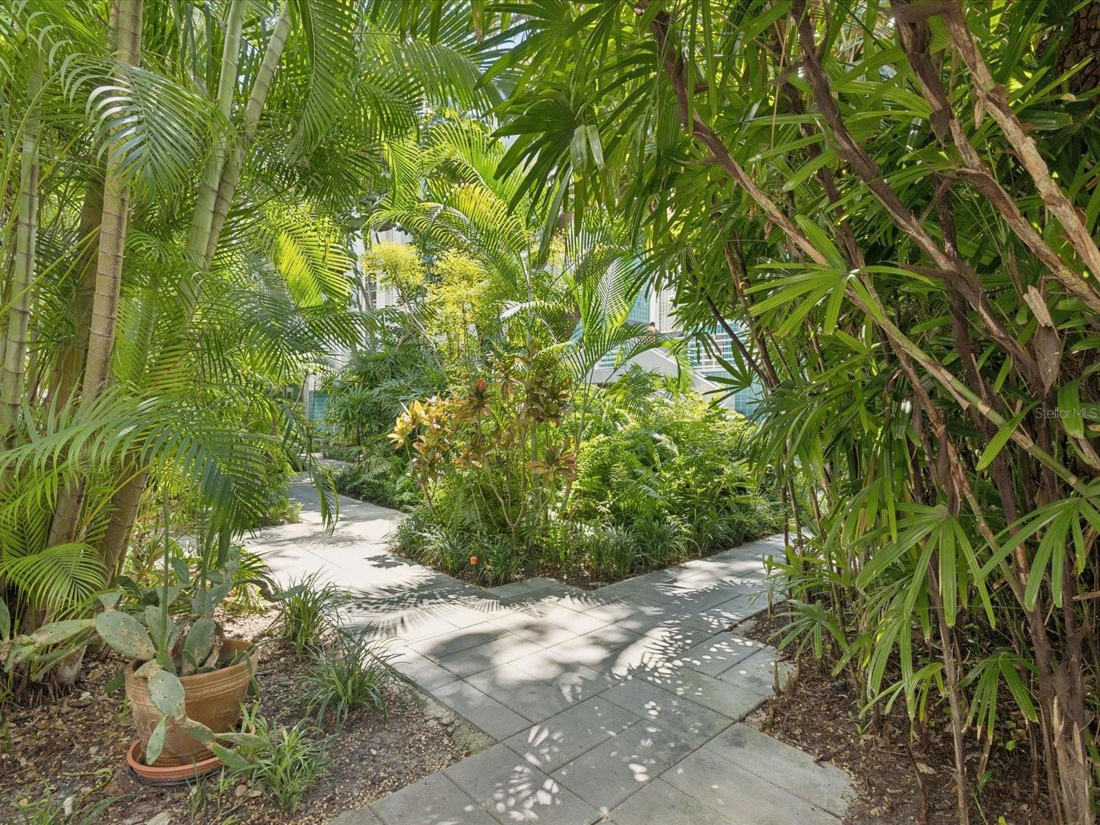 Image 31 of 50 For 4950 Bayshore Boulevard 1