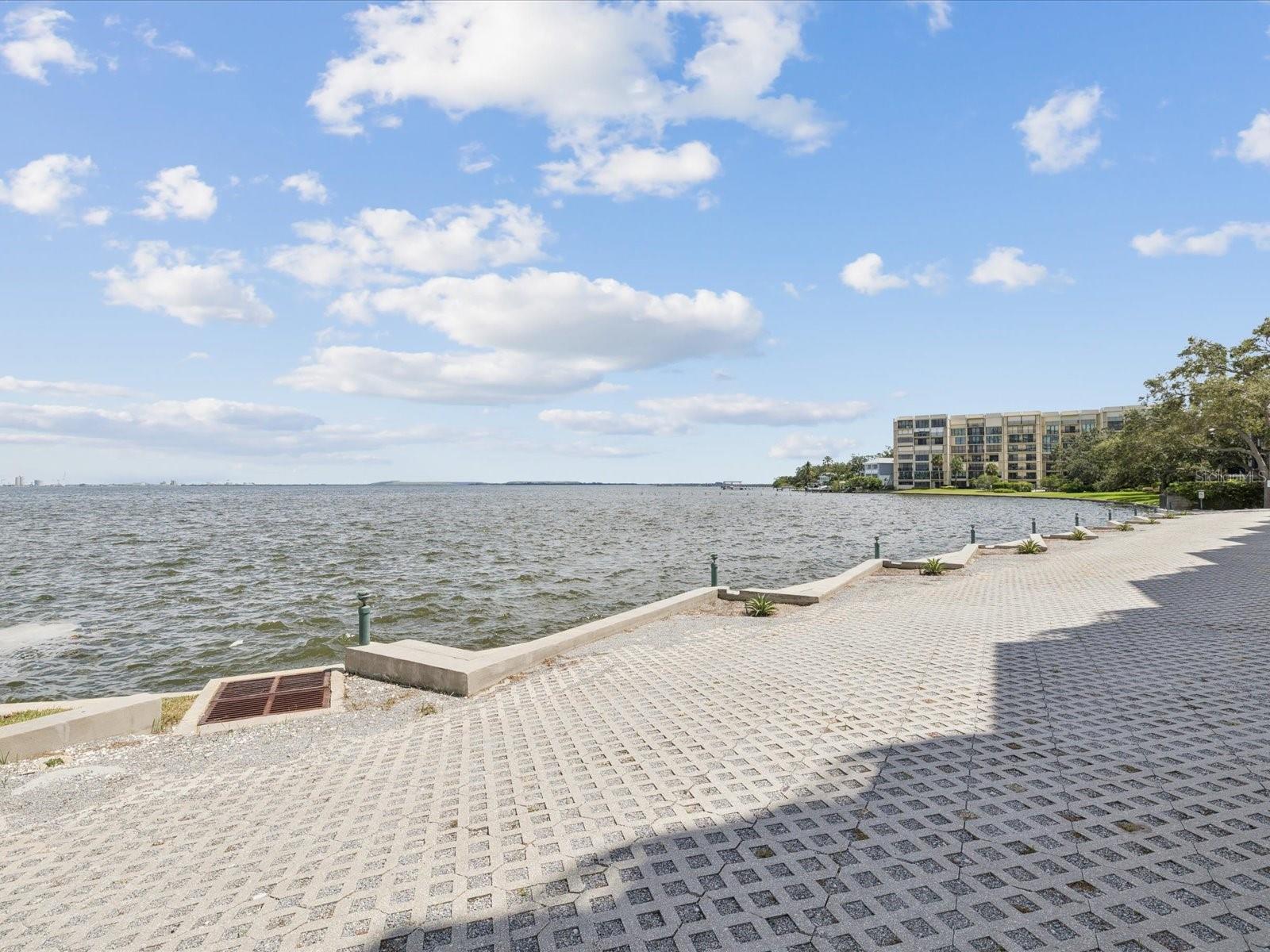 Image 34 of 50 For 4950 Bayshore Boulevard 1