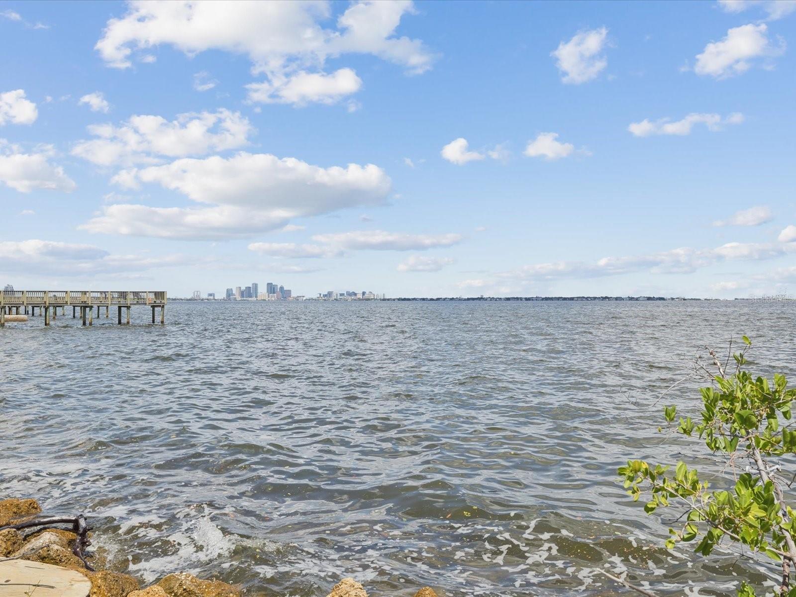 Image 35 of 50 For 4950 Bayshore Boulevard 1