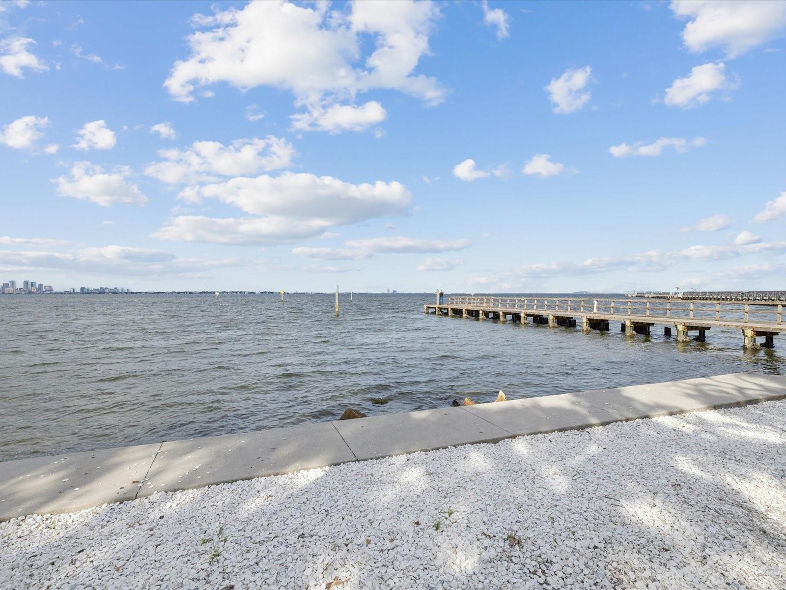 Image 45 of 50 For 4950 Bayshore Boulevard 1