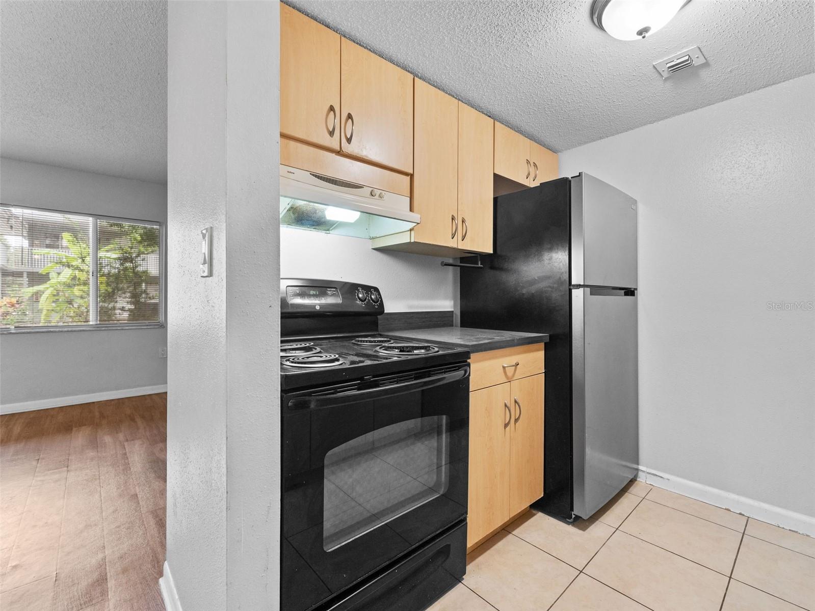Image 39 of 73 For 335 47th Avenue N 244