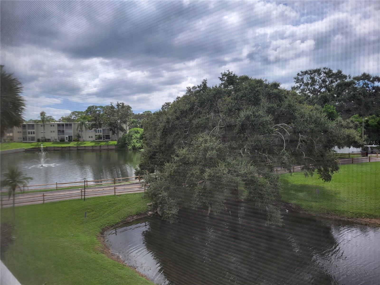 Listing photo id 2 for 946 Virginia Street 304