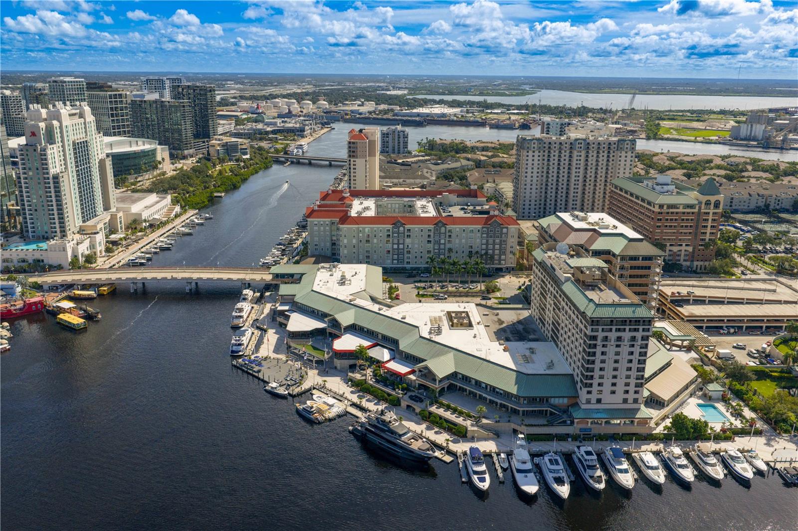 Image 49 of 68 For 700 Harbour Island Boulevard 242