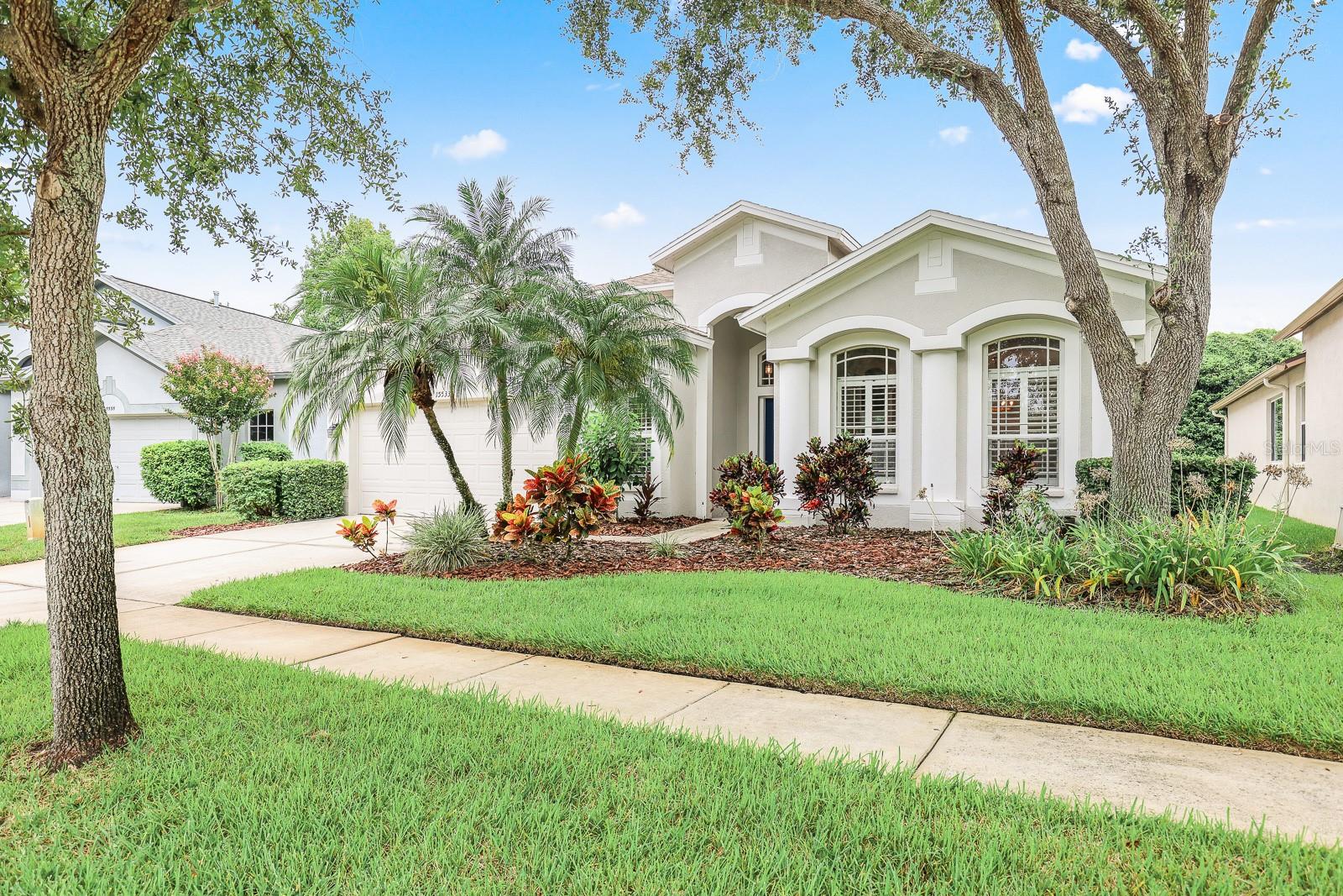 Details for 15533 Martinmeadow Drive, LITHIA, FL 33547