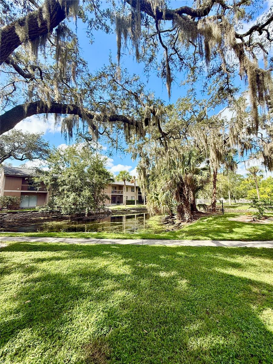 Image 19 of 19 For 5501 Loblolly Court 165