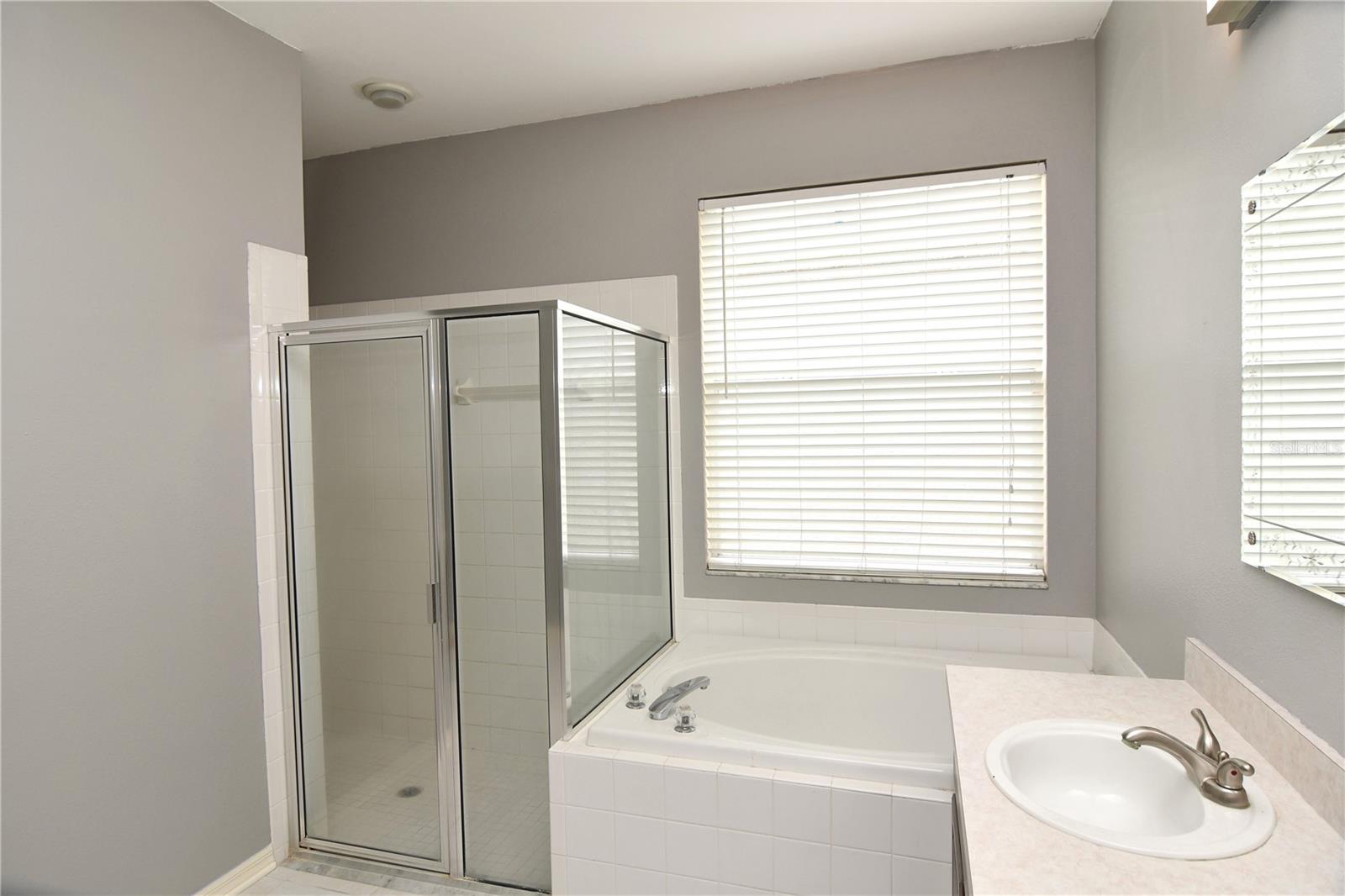 Image 22 of 35 For 27037 Palmbrook Court