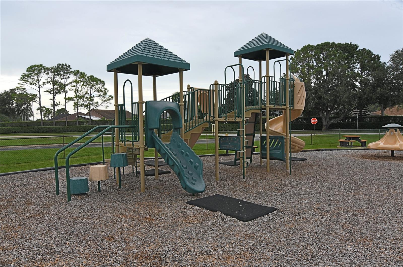 Image 32 of 35 For 27037 Palmbrook Court